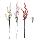 Plum Blossom with Long Branch