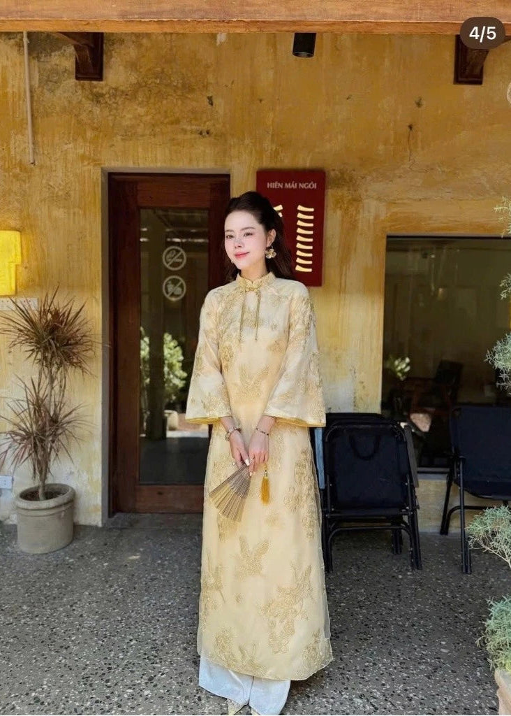 Embroidered Silk-Lined Organza Modernize Ao Dai