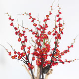 Plum Blossom with Long Branch
