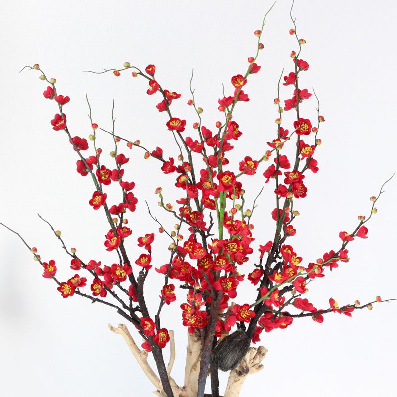 Plum Blossom with Long Branch