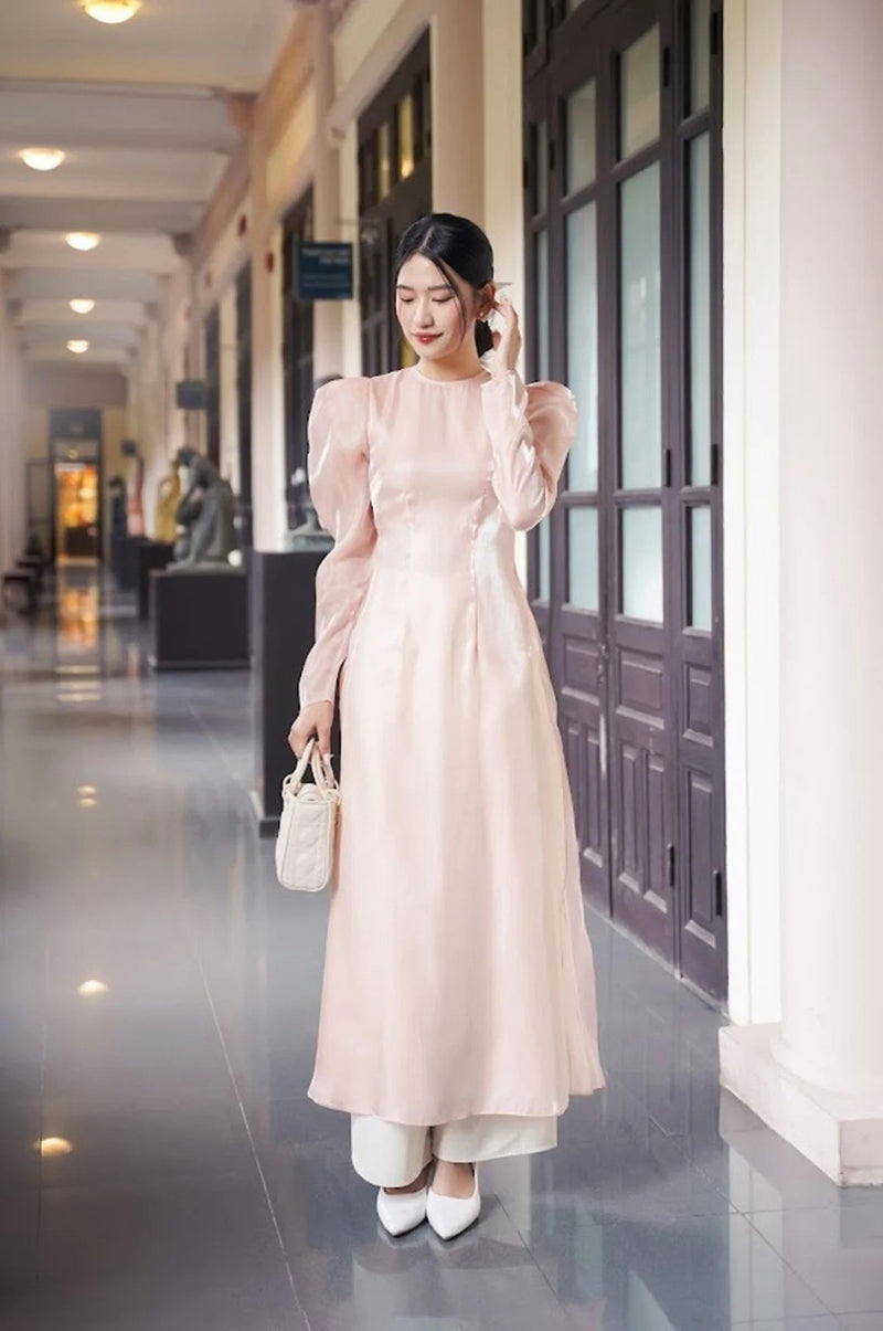 Vietnam Modernized Ao Dai | Ao Dai Lua Hong