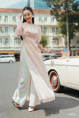 Vietnam Modernized Ao Dai | Ao Dai Lua Hong