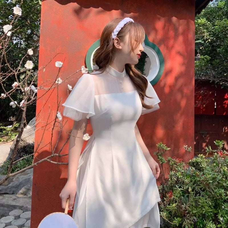Vietnam Modernized Ao Dai | Ao Dai Ket Hoa 3D