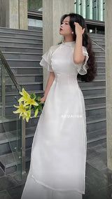 Vietnam Modernized Ao Dai | Ao Dai To Song Tay Beo