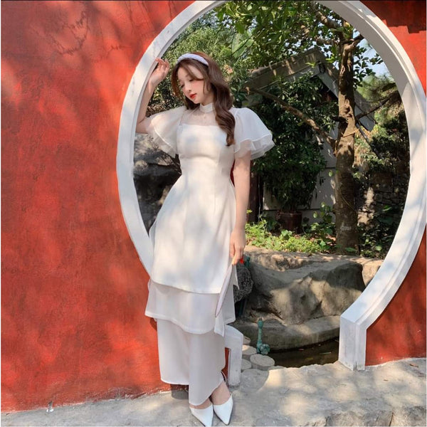 Vietnam Modernized Ao Dai | Ao Dai Ket Hoa 3D