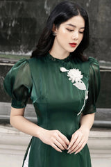Vietnam Modernized Ao Dai | Ao Dai Dinh Hoa 3D