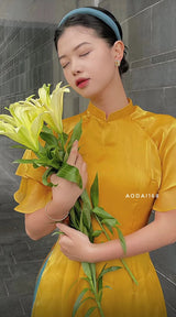 Vietnam Modernized Ao Dai | Ao Dai To Song Tay Beo