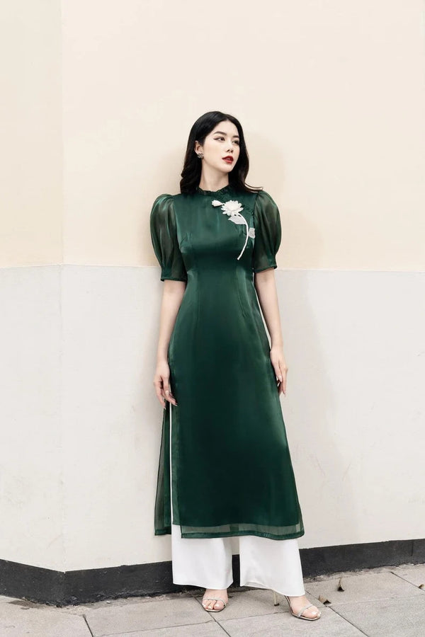 Vietnam Modernized Ao Dai | Ao Dai Dinh Hoa 3D