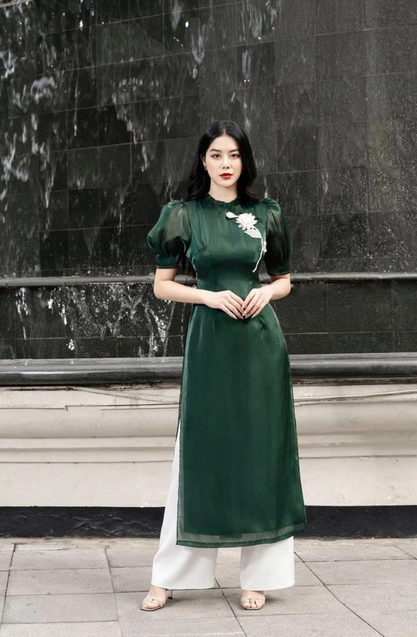 Vietnam Modernized Ao Dai | Ao Dai Dinh Hoa 3D