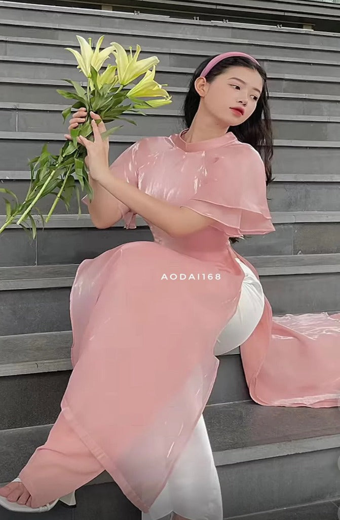 Vietnam Modernized Ao Dai | Ao Dai To Song Tay Beo