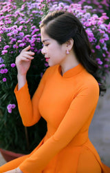 Vietnam Traditional Ao Dai | Ao Dai Viet Chiffon 4 Ta