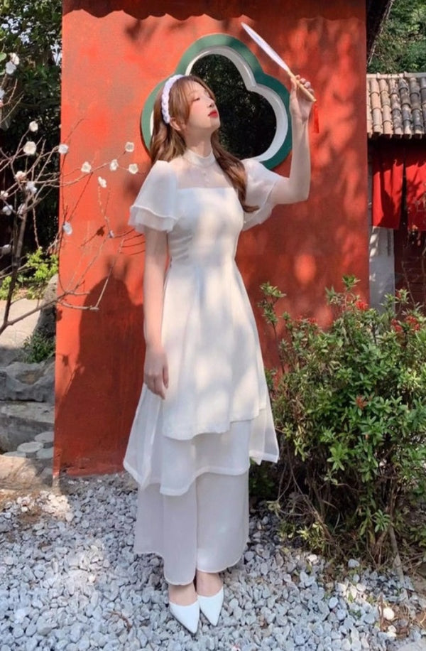 Vietnam Modernized Ao Dai | Ao Dai Ket Hoa 3D
