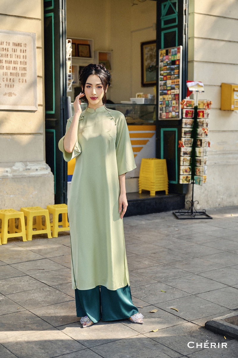 Vietnam Modernized Ao Dai | Ao Dai Tay Lo