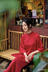 Vietnam Modernized Ao Dai | Ao Dai Tay Lo