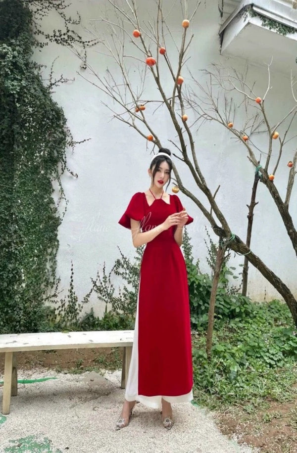 Vietnam Modernized Ao Dai | Ao Dai Nhung Tay Bong